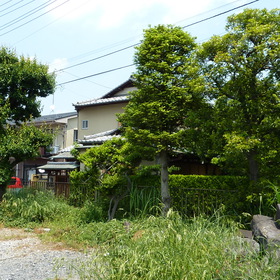 植木・庭石の撤去-BEFORE01