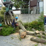 植木・庭石の撤去-AFTER02