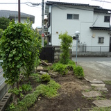 庭石の撤去作業