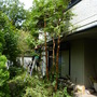 庭木の剪定、伐採作業-AFTER03