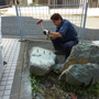庭石の撤去工事-BEFORE03