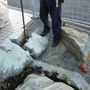 庭石の撤去工事-BEFORE04