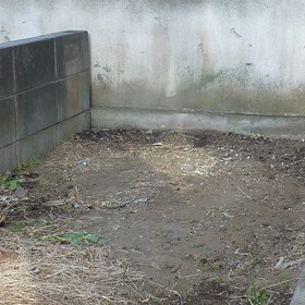 庭石の撤去処分-AFTER01