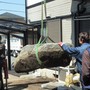 庭石の撤去処分工事-AFTER02