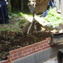 花壇の解体、庭石撤去-BEFORE03
