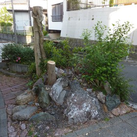庭石と植木の撤去-BEFORE01