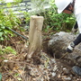 庭石と植木の撤去-BEFORE03