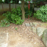 庭石の撤去作業