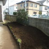 植木の伐採作業