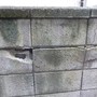 ブロック塀の解体工事-BEFORE04