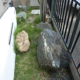 庭石の撤去-BEFORE01