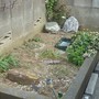 庭石の撤去-BEFORE02