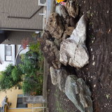 庭石の撤去工事