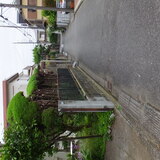 垣根の剪定