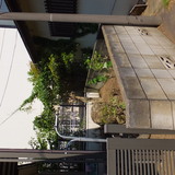 庭木の伐採、剪定