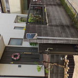 庭木の剪定